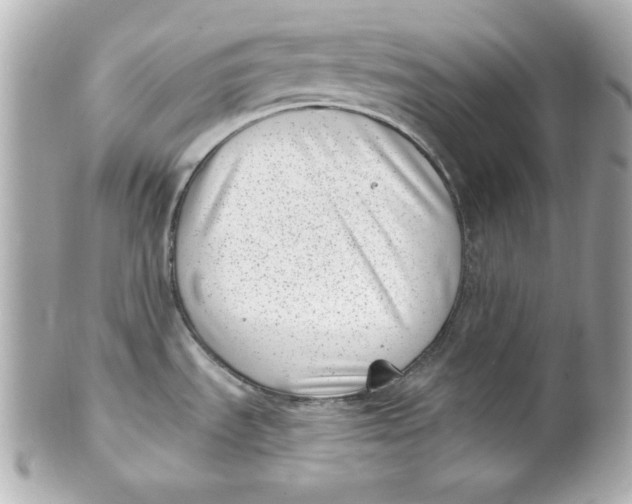 X0000101651535200807311402