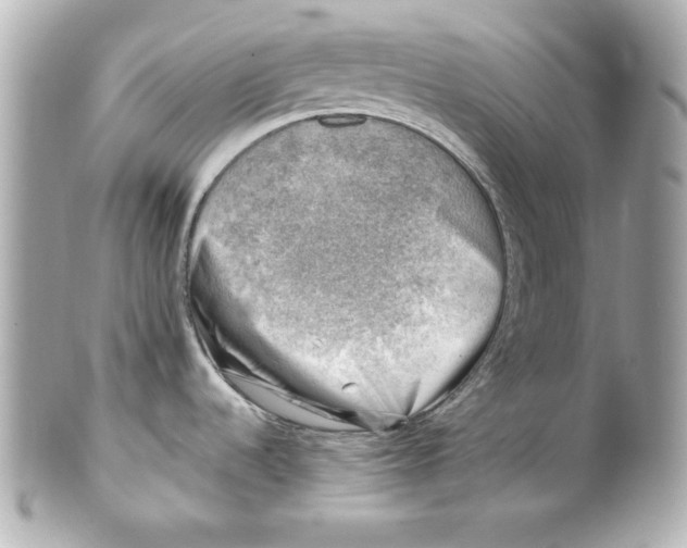 X0000101651536200807311402