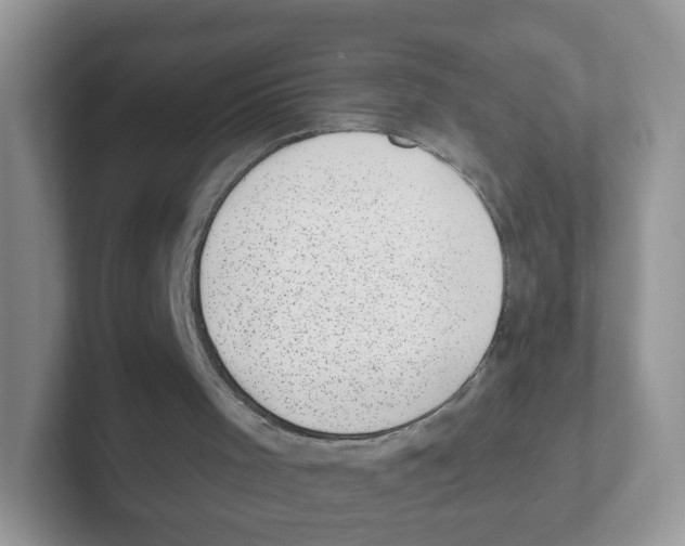 X0000101650001200808071125