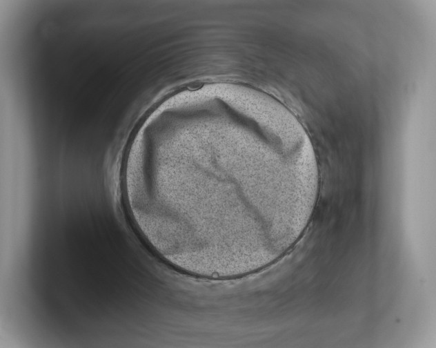 X0000101650002200808071125