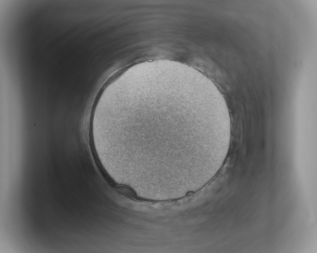 X0000101650003200808071125