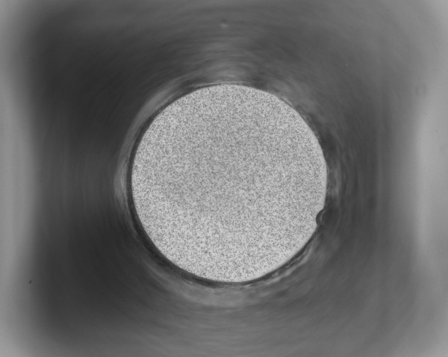 X0000101650004200808071125