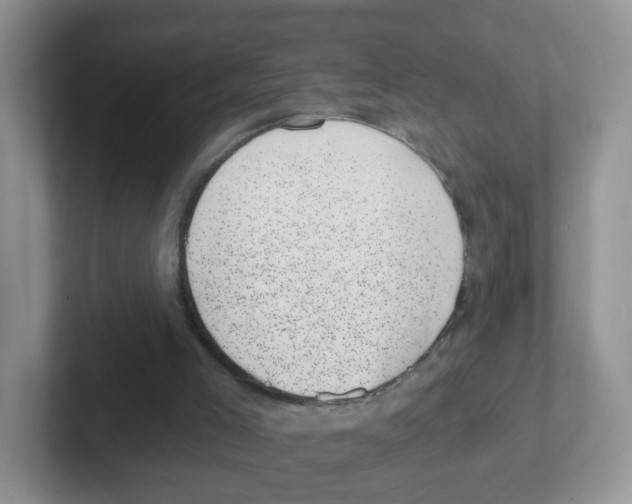 X0000101650005200808071125