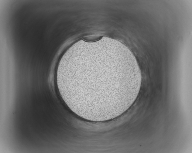 X0000101650006200808071125