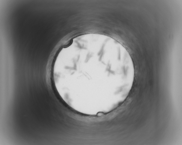 X0000101650007200808071125