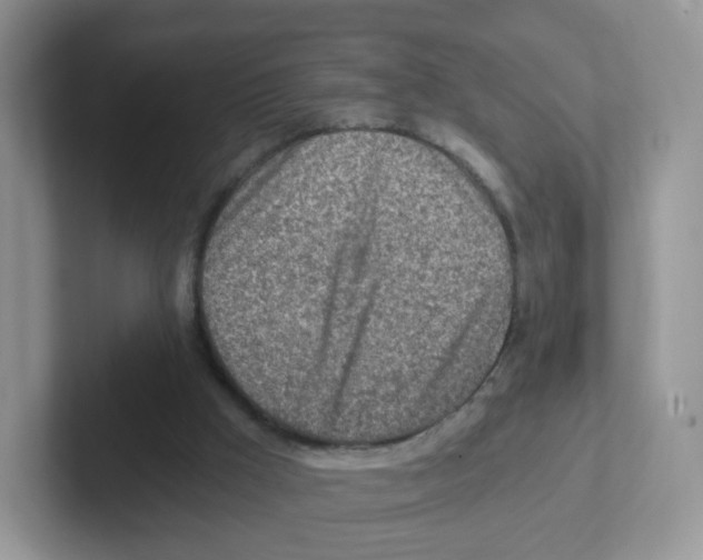 X0000101650009200808071125