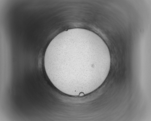 X0000101650010200808071125
