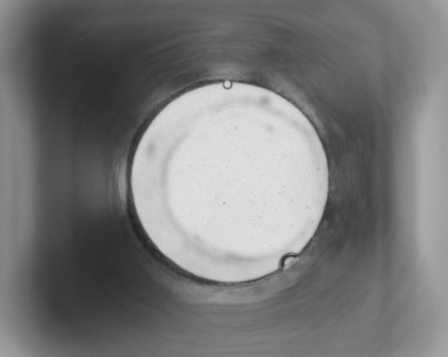 X0000101650011200808071125