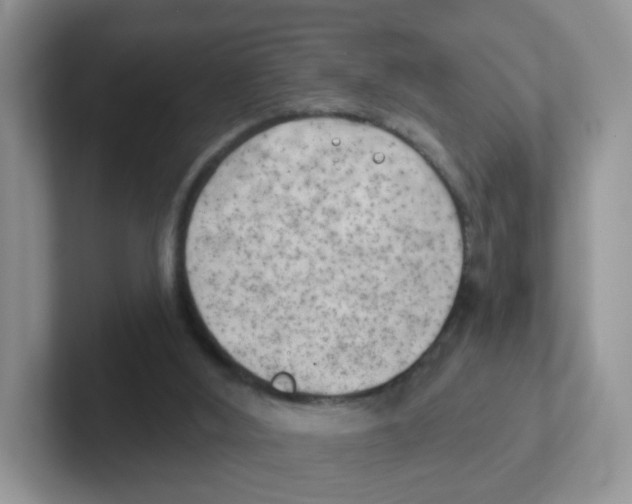 X0000101650012200808071125