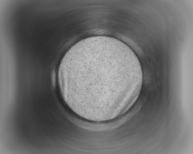 X0000101650014200808071125