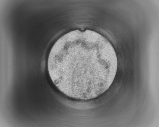 X0000101650016200808071125