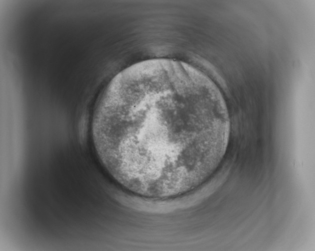 X0000101650018200808071125
