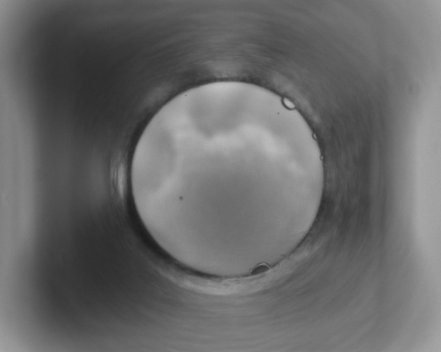 X0000101650019200808071125