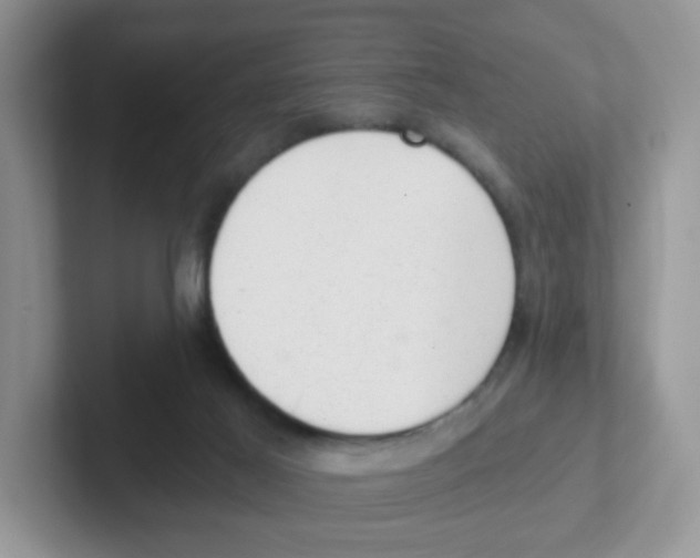 X0000101650021200808071125