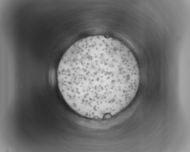 X0000101650022200808071125