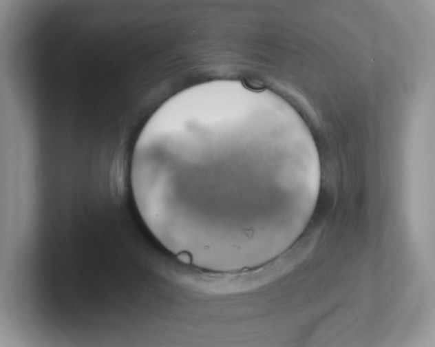 X0000101650023200808071125
