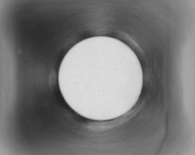 X0000101650025200808071125