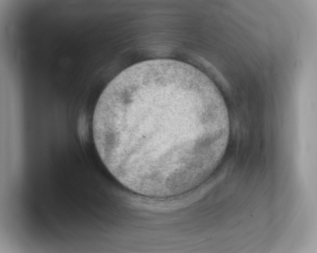 X0000101650026200808071125