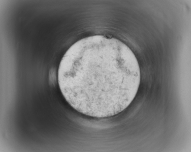X0000101650028200808071125