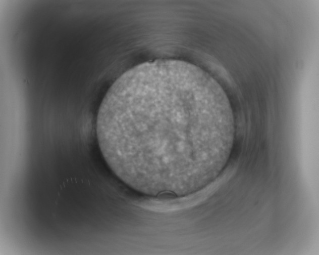 X0000101650029200808071125