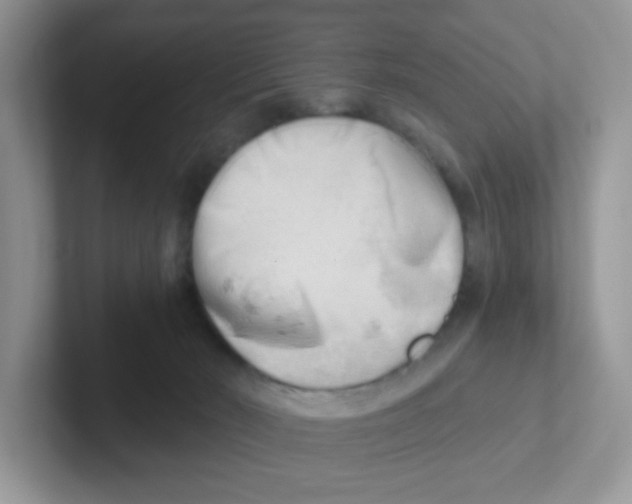 X0000101650030200808071125