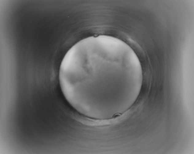 X0000101650031200808071125