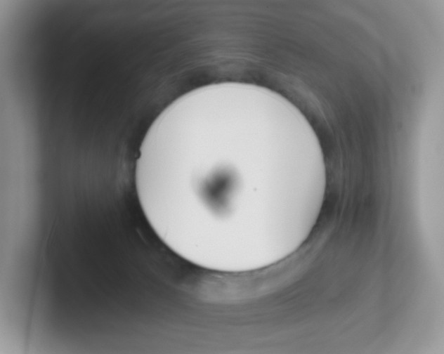 X0000101650033200808071125