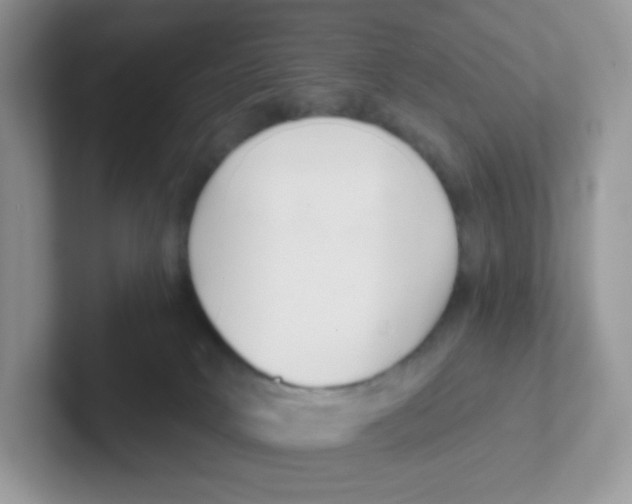 X0000101650034200808071125