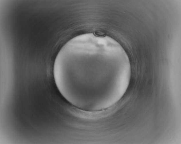 X0000101650035200808071125