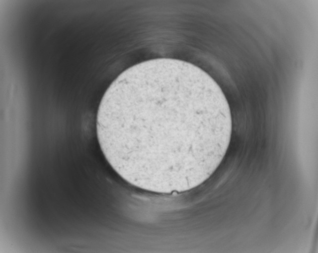 X0000101650036200808071125