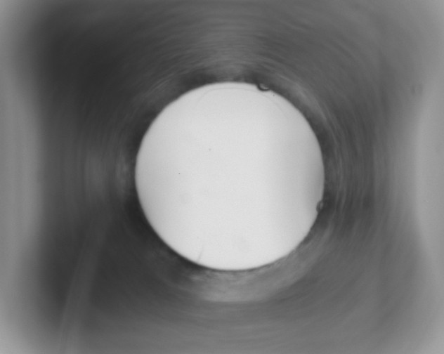 X0000101650037200808071125
