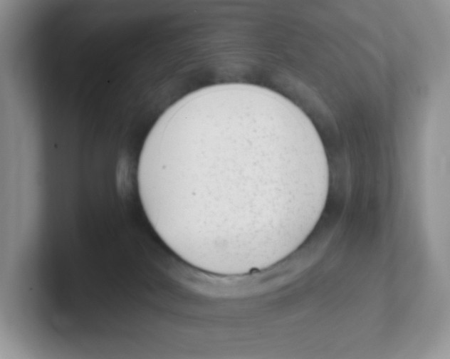X0000101650038200808071124