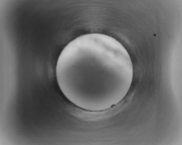 X0000101650039200808071124