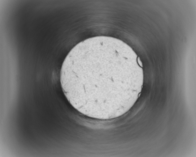X0000101650040200808071124