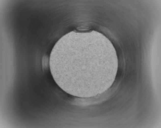 X0000101650041200808071124