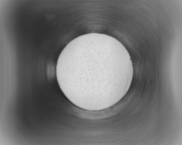 X0000101650042200808071124