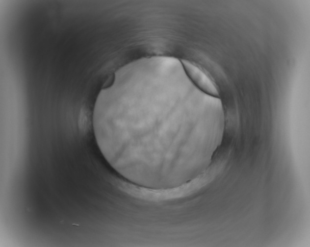 X0000101650043200808071124