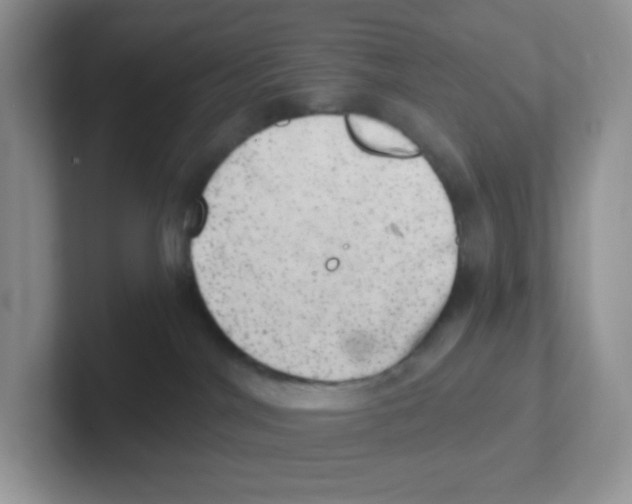 X0000101650044200808071124