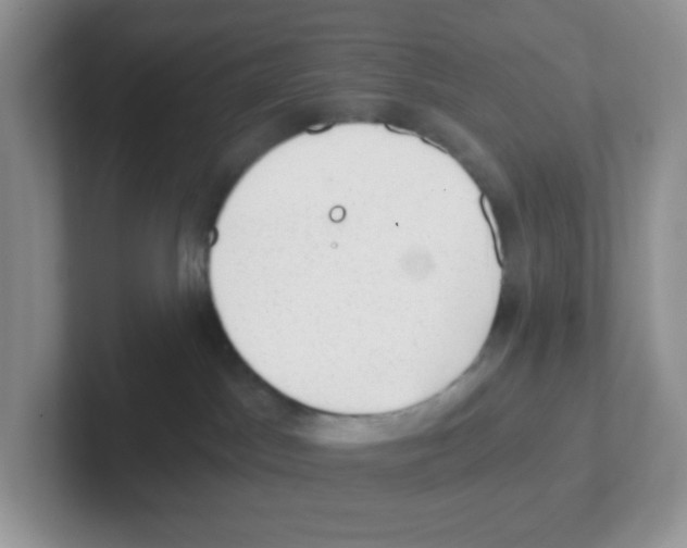 X0000101650045200808071124