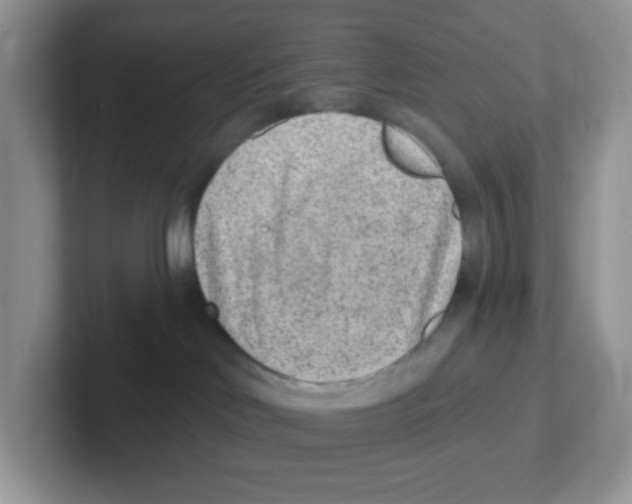 X0000101650046200808071124