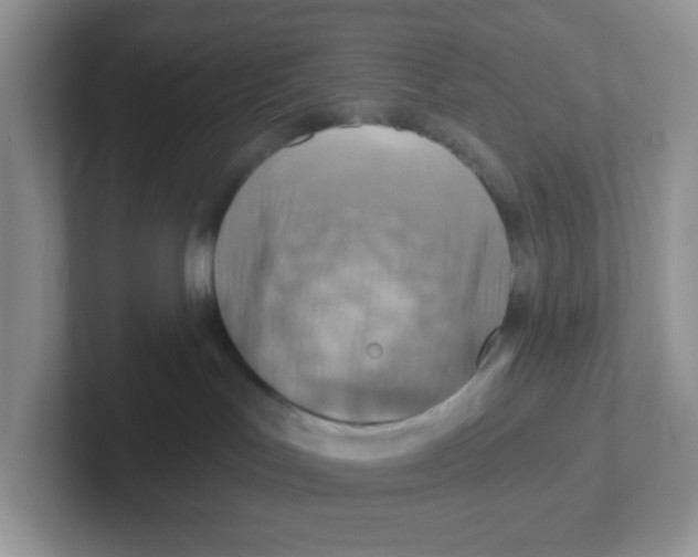 X0000101650047200808071124