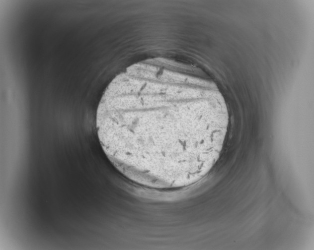 X0000101650048200808071124