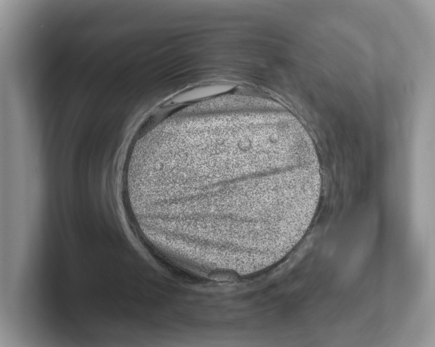 X0000101650049200808071124