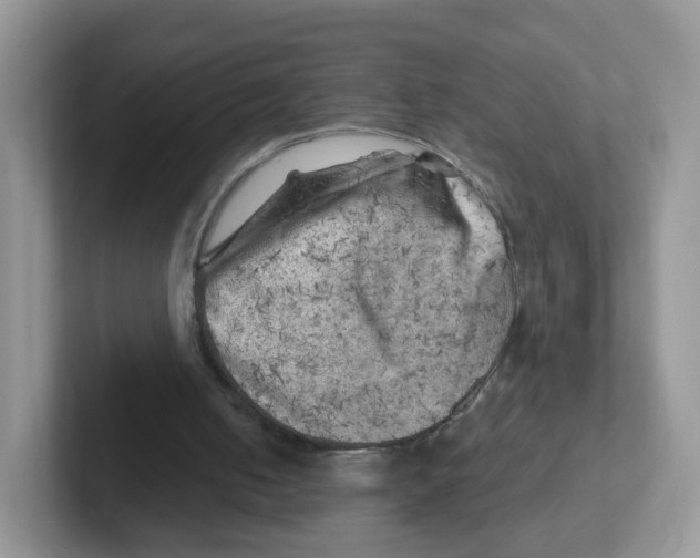 X0000101650050200808071124