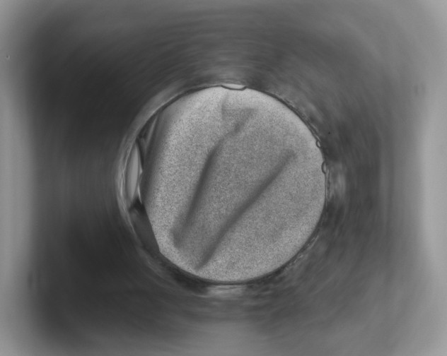 X0000101650051200808071124