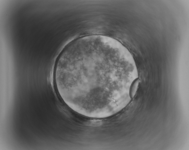 X0000101650052200808071124