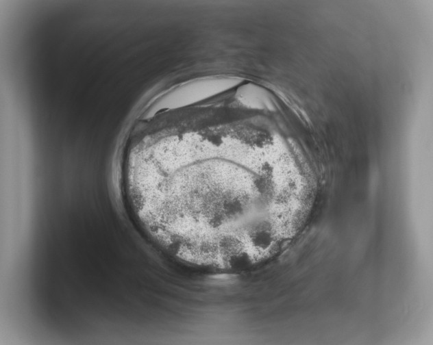 X0000101650053200808071124
