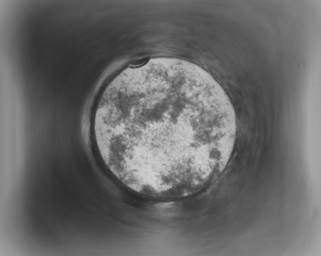 X0000101650054200808071124