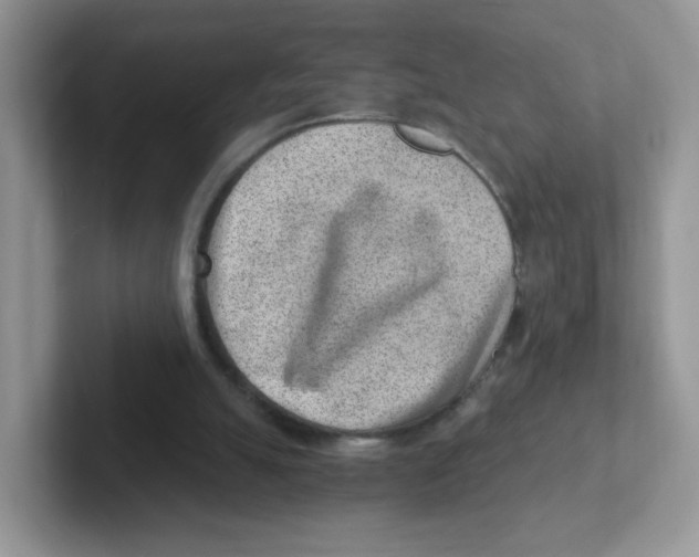 X0000101650055200808071124
