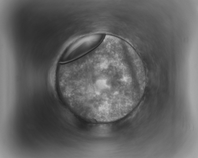 X0000101650056200808071124